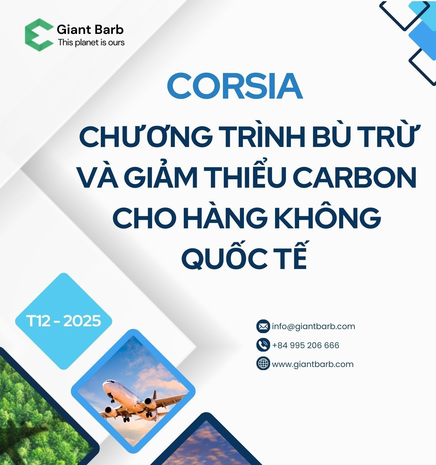 CORSIA - Chương trình bù trừ và giảm thiểu Carbon cho Hàng không Quốc tế